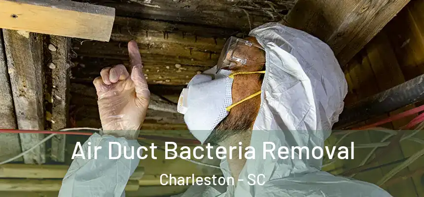  Air Duct Bacteria Removal Charleston - SC
