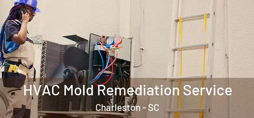 HVAC Mold Remediation Service Charleston - SC
