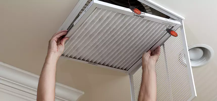 Preventive Cockroach-Proofing for Ducts in Charleston
