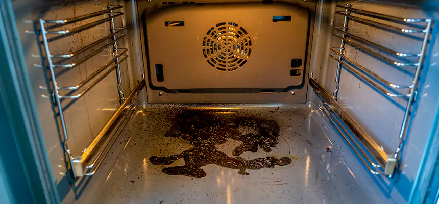 Our Dryer Vent Mold Cleaning Services in Charleston, SC