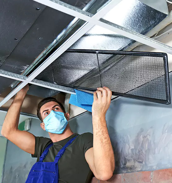 About Air Duct Bacteria Removal in Charleston