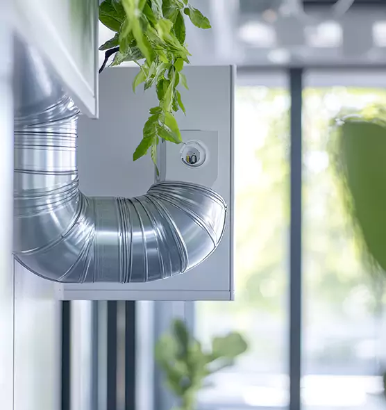 Professional Eco-Safe Dryer Vent Cleaning in Charleston, SC