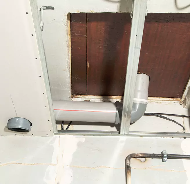 Why Homeowners & Businesses Trust Us in Charleston, SC?