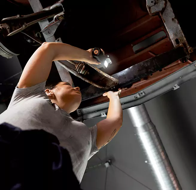 Why Homeowners & Businesses Trust Us Charleston, SC