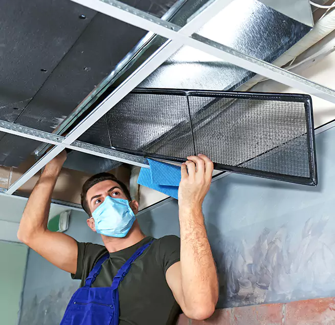 Why Homeowners Businesses Trust Us in Charleston, SC?